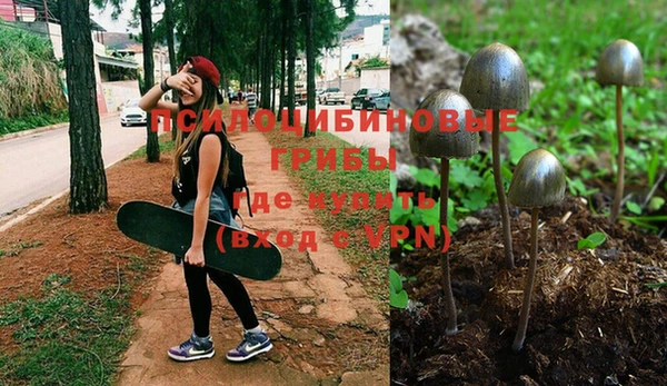 марихуана Богданович