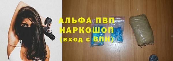 ECSTASY Богородск